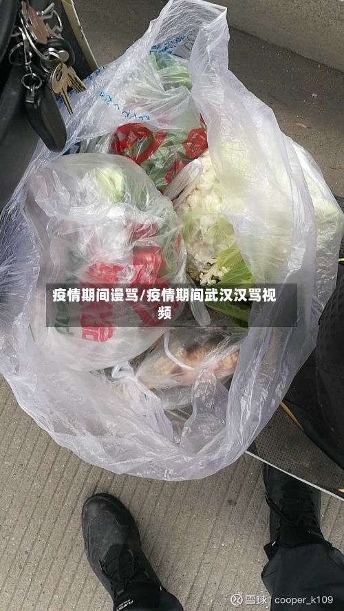 疫情期间谩骂/疫情期间武汉汉骂视频-第3张图片