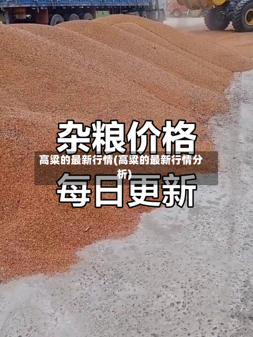 高粱的最新行情(高粱的最新行情分析)