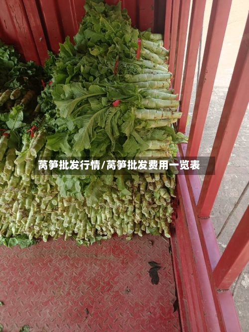 莴笋批发行情/莴笋批发费用一览表-第2张图片