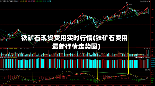 铁矿石现货费用实时行情(铁矿石费用最新行情走势图)-第2张图片