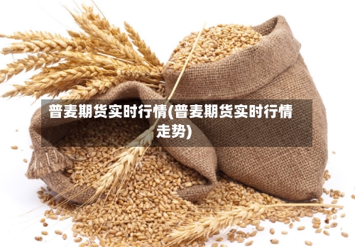 普麦期货实时行情(普麦期货实时行情走势)