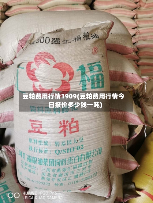 豆粕费用行情1909(豆粕费用行情今日报价多少钱一吨)