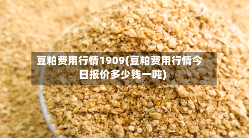 豆粕费用行情1909(豆粕费用行情今日报价多少钱一吨)-第2张图片