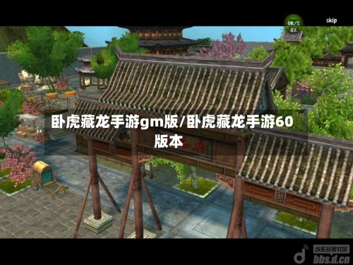 卧虎藏龙手游gm版/卧虎藏龙手游60版本-第3张图片