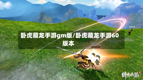 卧虎藏龙手游gm版/卧虎藏龙手游60版本-第2张图片