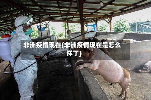 非洲疫情现在(非洲疫情现在是怎么样了)-第3张图片