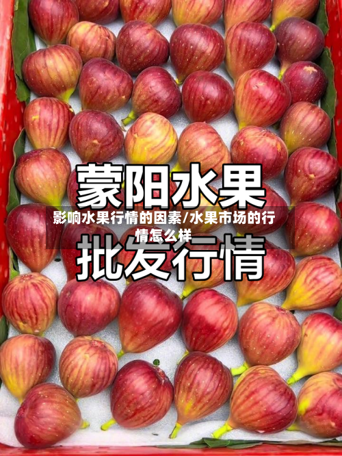 影响水果行情的因素/水果市场的行情怎么样