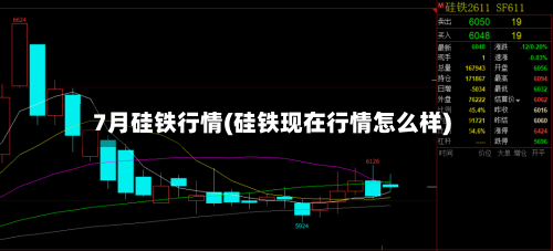 7月硅铁行情(硅铁现在行情怎么样)