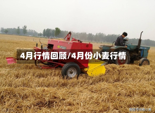 4月行情回顾/4月份小麦行情