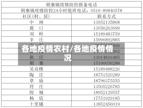 各地疫情农村/各地疫情情况