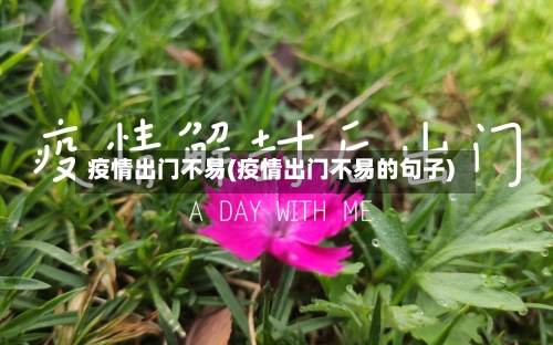 疫情出门不易(疫情出门不易的句子)-第2张图片
