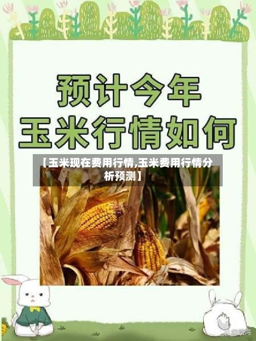 【玉米现在费用行情,玉米费用行情分析预测】