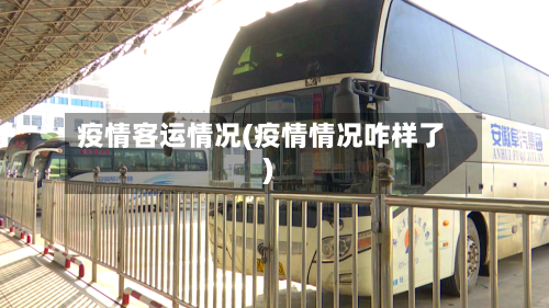 疫情客运情况(疫情情况咋样了)