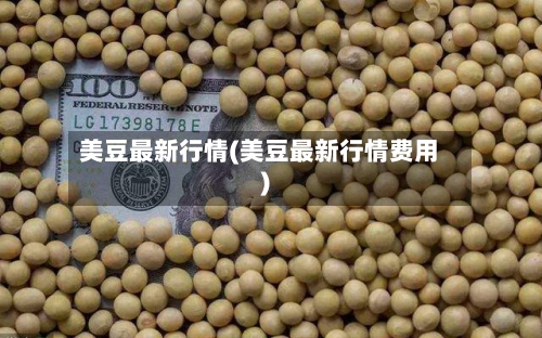 美豆最新行情(美豆最新行情费用)-第2张图片