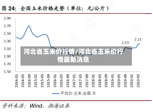 河北省玉米价行情/河北省玉米价行情最新消息-第2张图片