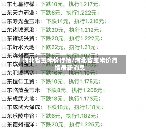 河北省玉米价行情/河北省玉米价行情最新消息