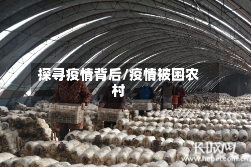 探寻疫情背后/疫情被困农村