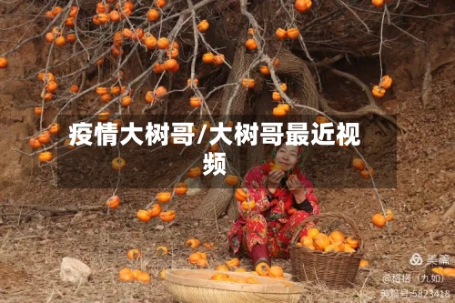 疫情大树哥/大树哥最近视频