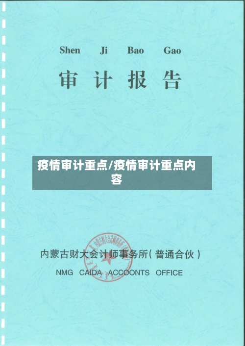 疫情审计重点/疫情审计重点内容