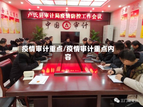 疫情审计重点/疫情审计重点内容-第2张图片