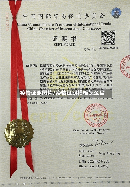 疫情证明图片/疫情证明模板怎么写-第2张图片