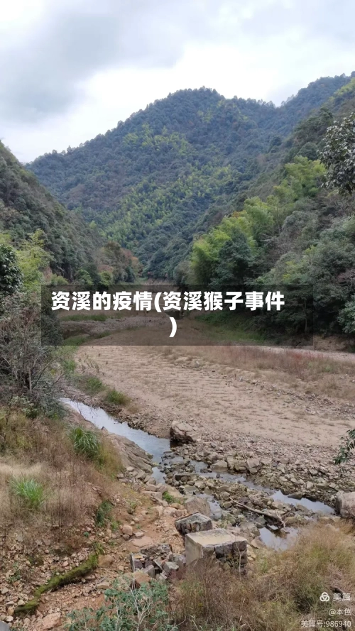 资溪的疫情(资溪猴子事件)-第2张图片
