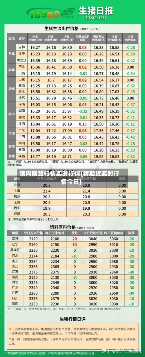 猪肉期货行情实时行情(猪期货实时行情今日)