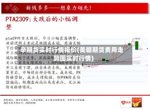 辛期货实时行情报价(美糖期货费用走势图实时行情)