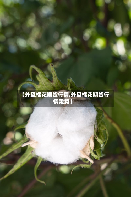 【外盘棉花期货行情,外盘棉花期货行情走势】-第3张图片