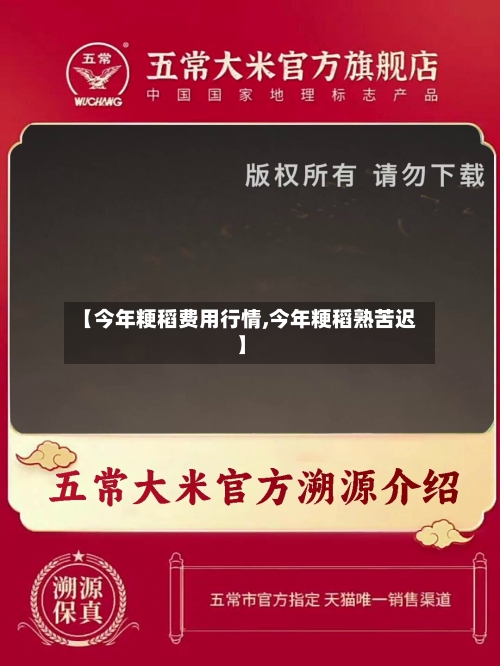 【今年粳稻费用行情,今年粳稻熟苦迟】-第2张图片