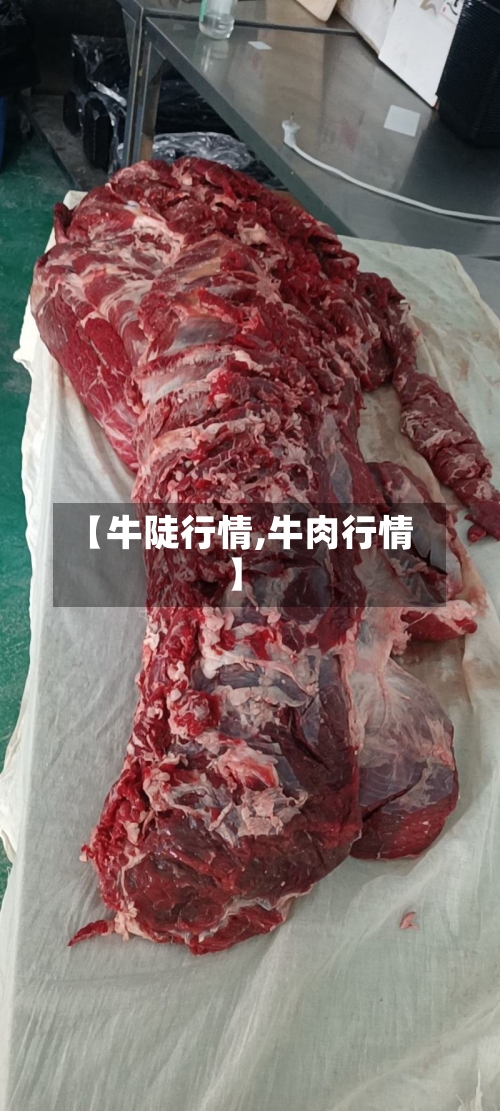 【牛陡行情,牛肉行情】-第2张图片