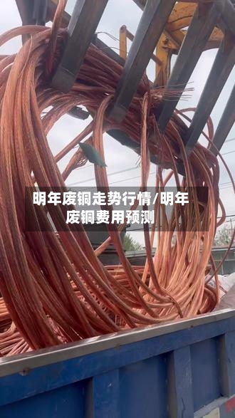 明年废铜走势行情/明年废铜费用预测