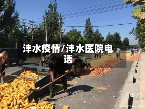 沣水疫情/沣水医院电话