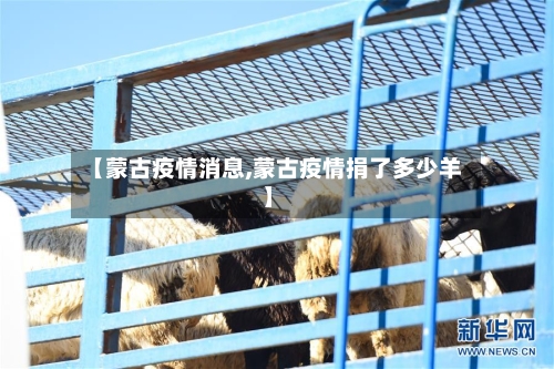 【蒙古疫情消息,蒙古疫情捐了多少羊】