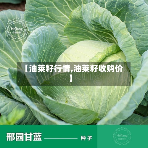 【油莱籽行情,油莱籽收购价】