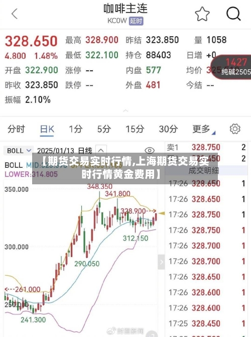 【期货交易实时行情,上海期货交易实时行情黄金费用】