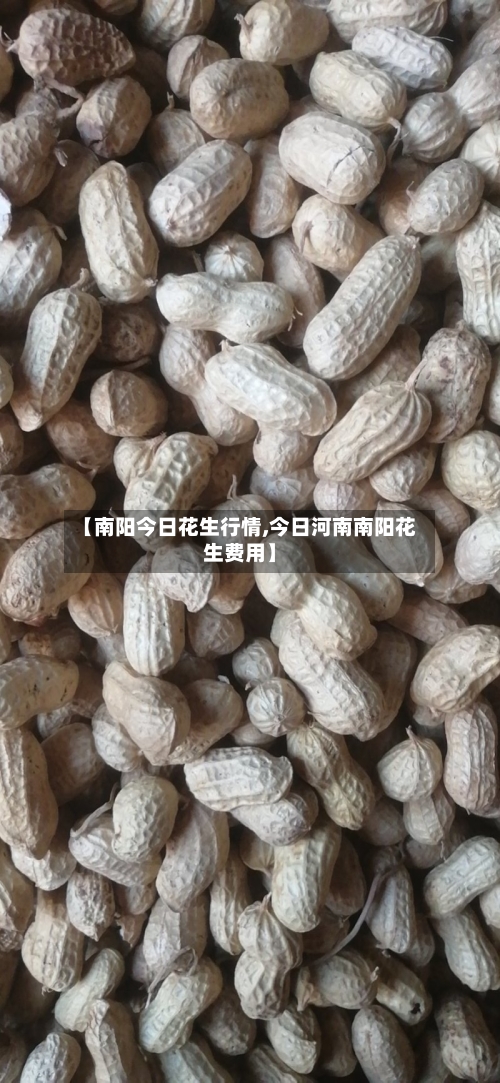 【南阳今日花生行情,今日河南南阳花生费用】-第2张图片