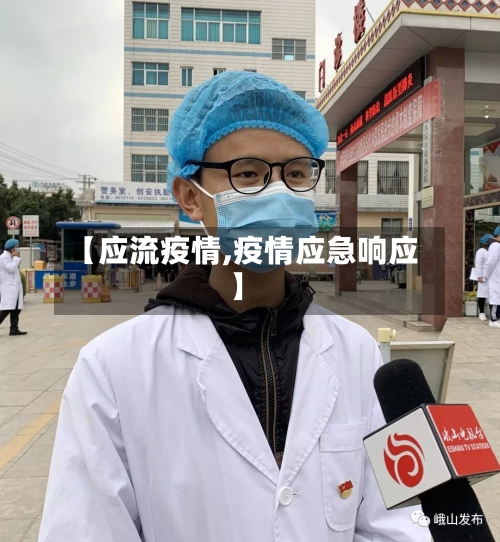 【应流疫情,疫情应急响应】-第2张图片