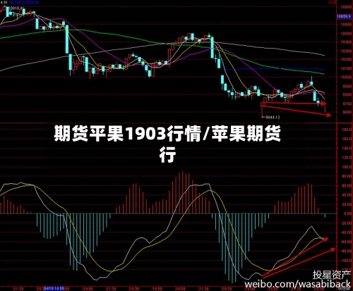 期货平果1903行情/苹果期货行