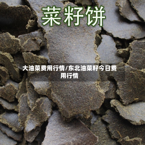 大油菜费用行情/东北油菜籽今日费用行情