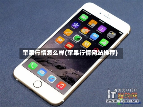 苹果行情怎么样(苹果行情网站推荐)
