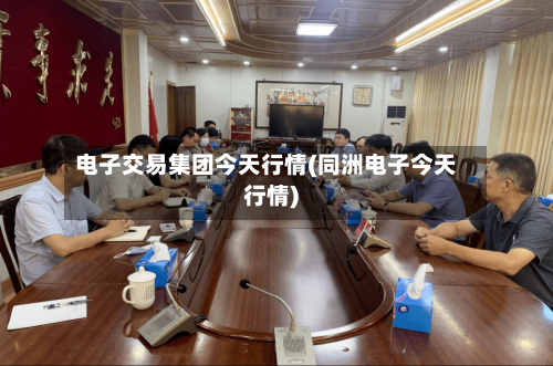 电子交易集团今天行情(同洲电子今天行情)