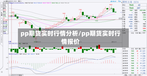 pp期货实时行情分析/pp期货实时行情报价