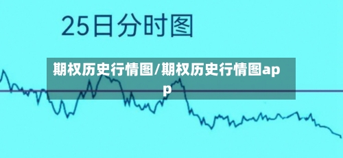 期权历史行情图/期权历史行情图app-第2张图片