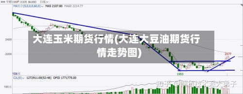 大连玉米期货行情(大连大豆油期货行情走势图)-第3张图片