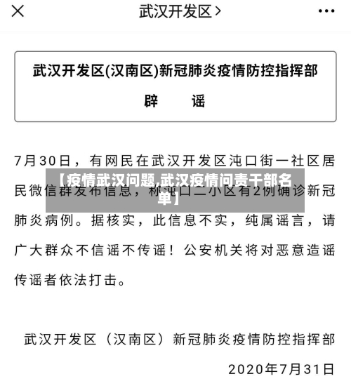 【疫情武汉问题,武汉疫情问责干部名单】-第2张图片