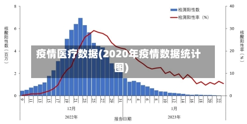 疫情医疗数据(2020年疫情数据统计图)-第2张图片