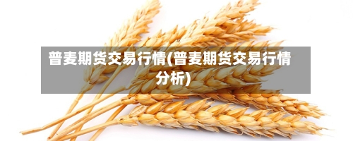 普麦期货交易行情(普麦期货交易行情分析)-第3张图片