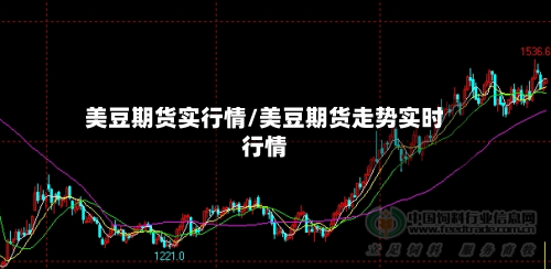 美豆期货实行情/美豆期货走势实时行情-第3张图片