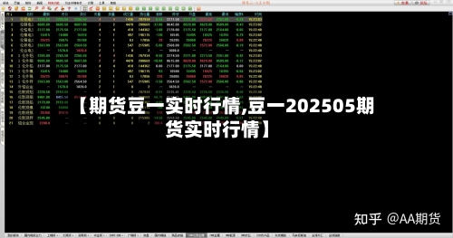 【期货豆一实时行情,豆一202505期货实时行情】